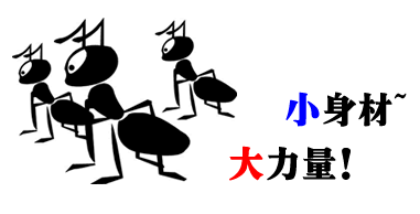 智陽科技咨詢